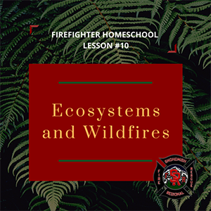 lesson-10-homepage-icon-ecosystems-and-wildfires.png